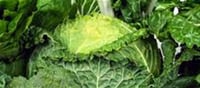 Are You Eating Your Leafy Greens the Right Way? Nutritionist Explains